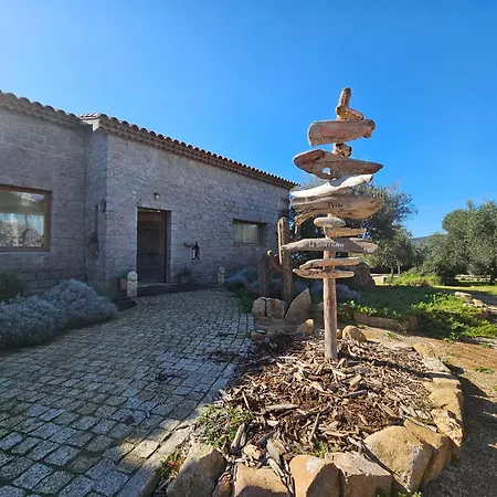 Bella Stella * Coggia